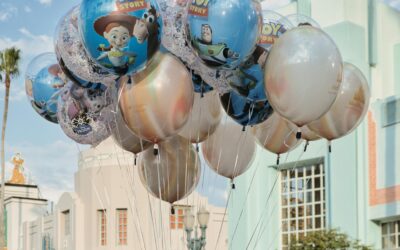 What is the Best Disney World Park