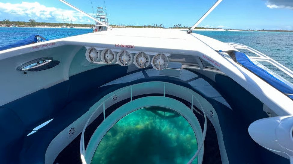 Paradise Island: Glass-Bottom Boat Tour with Live Commentary